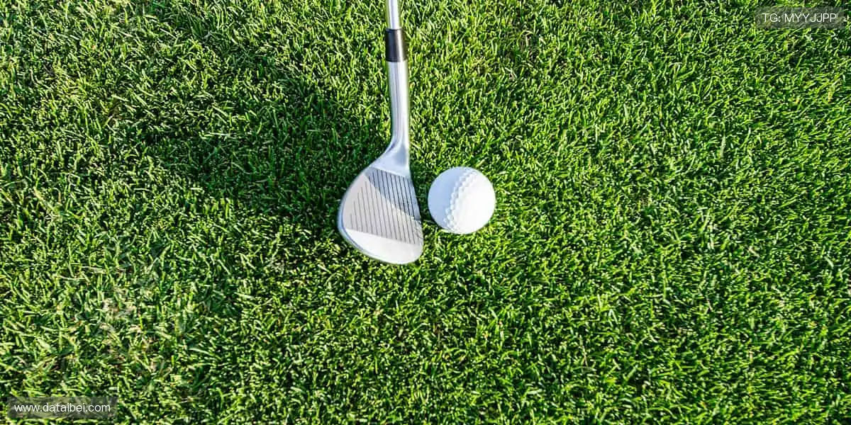 热血赛事,巅峰对决🔥